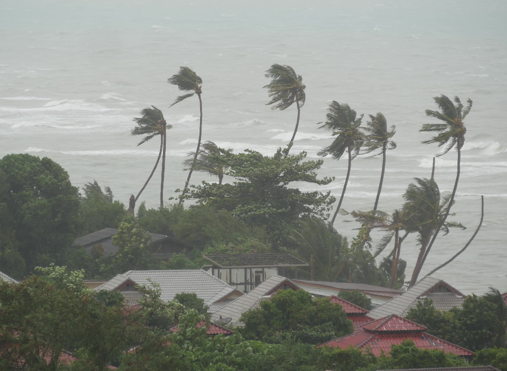 Palm trees bend in strong winds near coastal homes during a hurricane as part of hurricane preparation and recovery efforts.