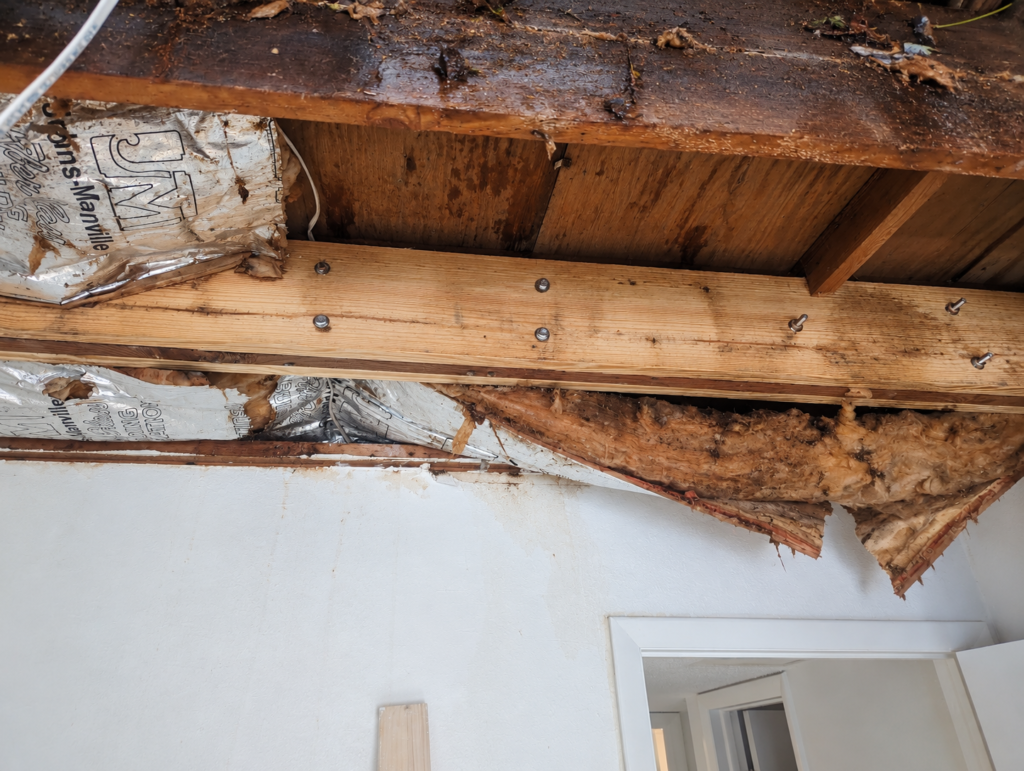Remote Storm Recovery Remodel in Treasure Island, FL
